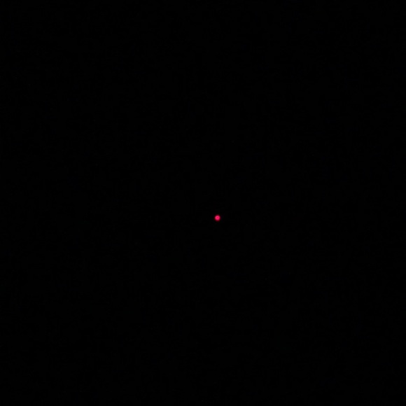 Meet your Posher, Silas - Picture 1 of 1